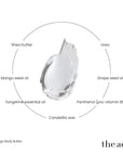 The Act Mango Body Butter key ingredients — shea butter, mango seed oil, grape seed oil, urea, panthenol