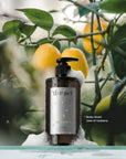 The Act Verbena Body Wash — refreshing daily body wash South Africa