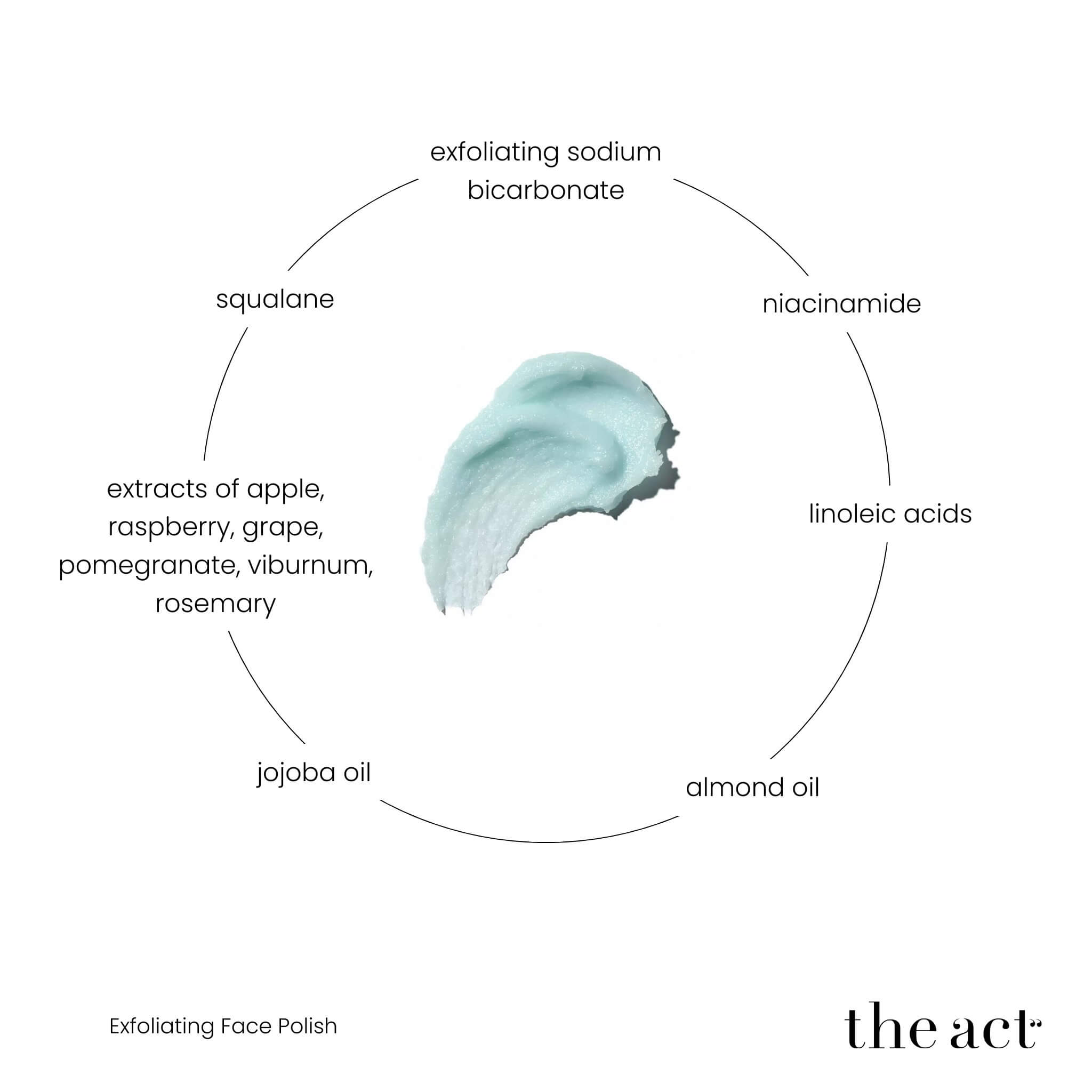 The Act Exfoliating Face Polish key ingredients — squalane, niacinamide, fruit extracts, vitamin E