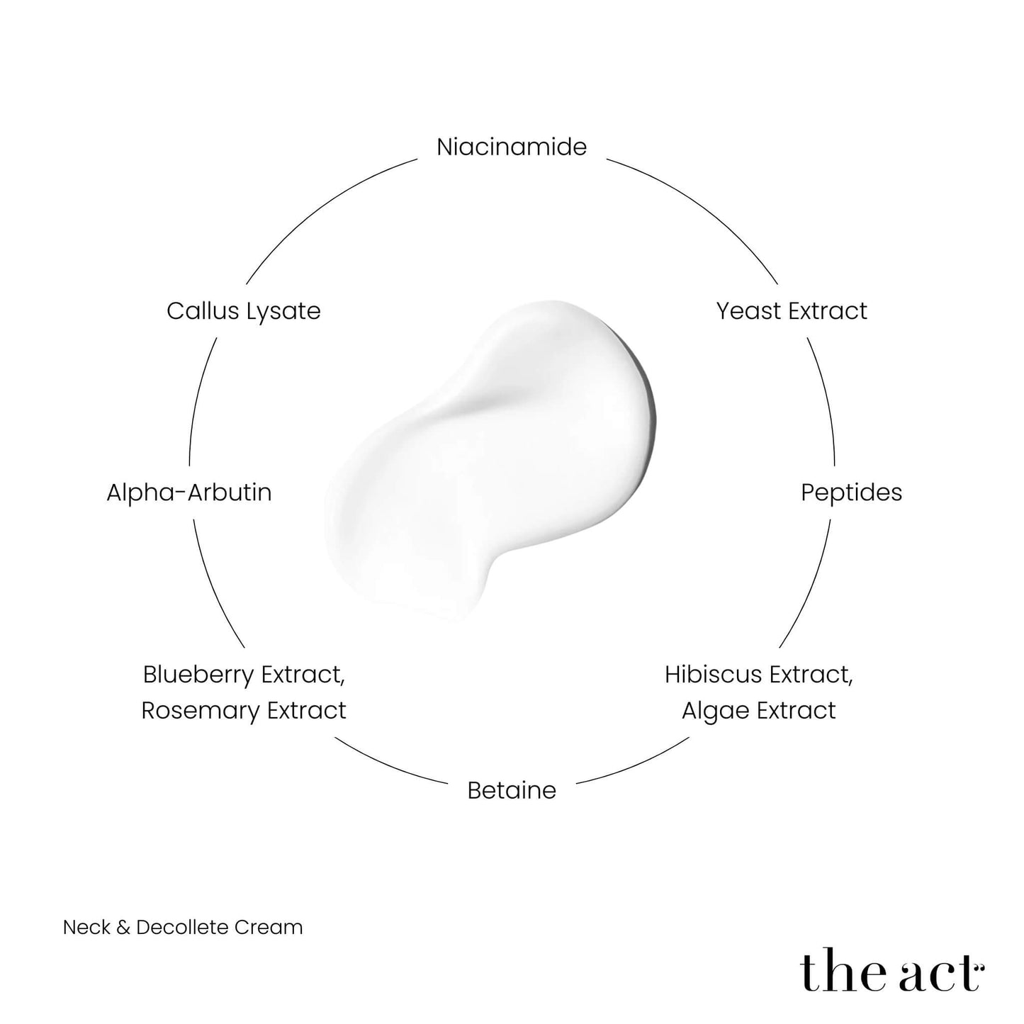 The Act Neck Cream key ingredients — niacinamide, alpha-arbutin, firming peptide, hibiscus, blueberry
