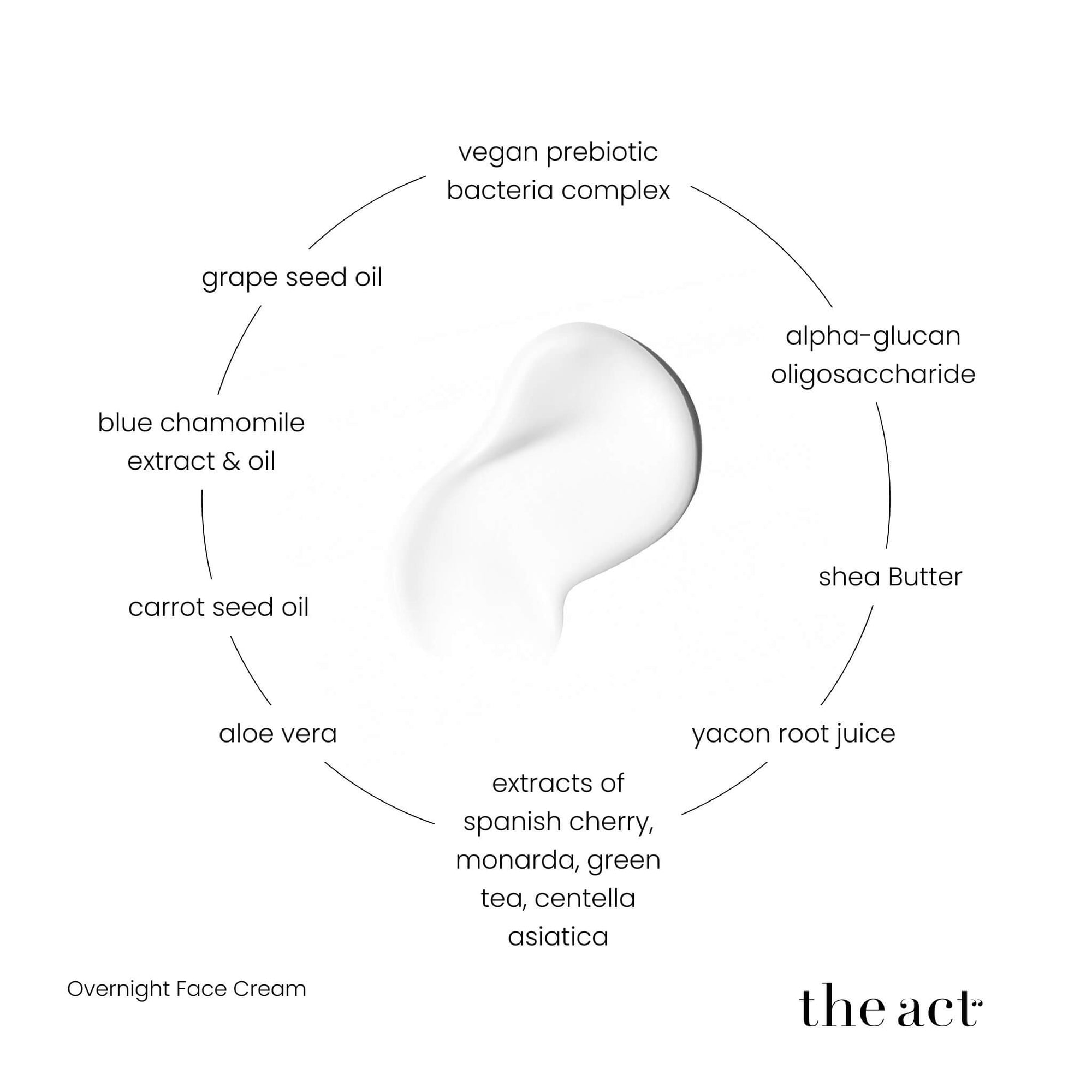 The Act Overnight Cream key ingredients — prebiotic bacteria, shea butter, carrot seed, blue chamomile