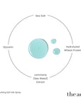 The Act Texturizing Spray key ingredients — sea salt, hydrolyzed wheat protein, seaweed extract